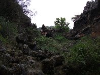 otta Intraleo-20100515 039